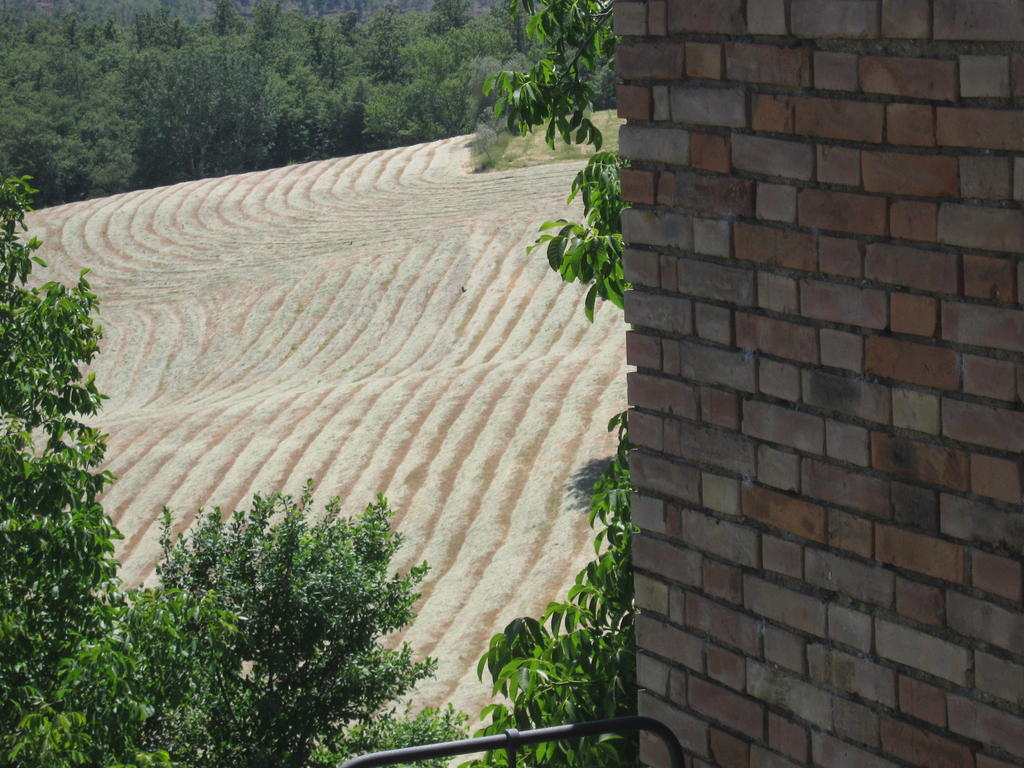 Agriturismo Santa Maria Торріта-ді-Сьєна Екстер'єр фото