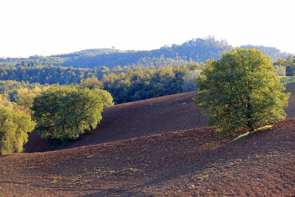Agriturismo Santa Maria Торріта-ді-Сьєна Екстер'єр фото