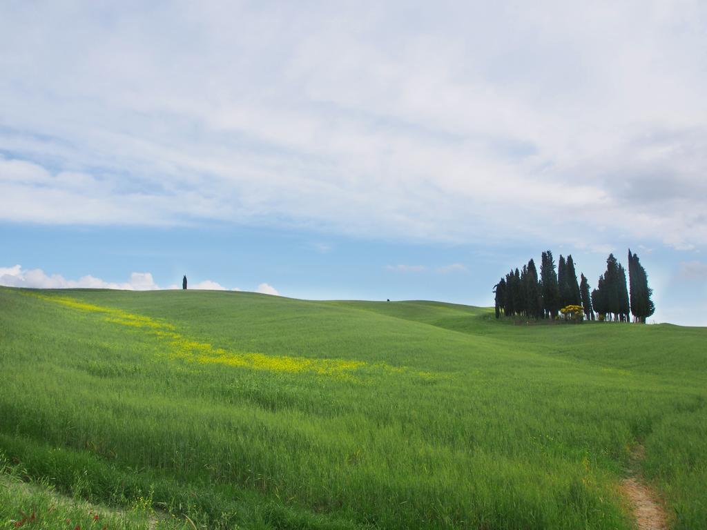 Agriturismo Santa Maria Торріта-ді-Сьєна Екстер'єр фото